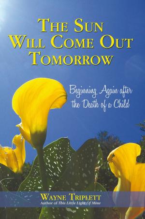 Book cover of The Sun Will Come out Tomorrow