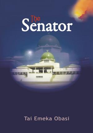 Cover of the book The Senator by Raymond L. Mungro Jr.