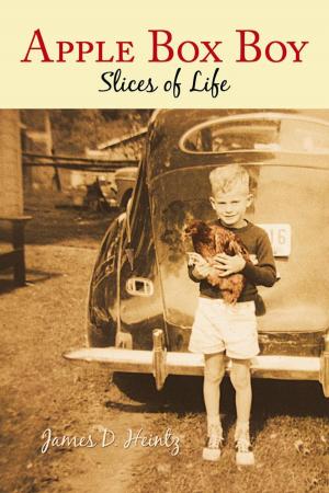 Cover of the book Apple Box Boy by Joyce C. Smolkin