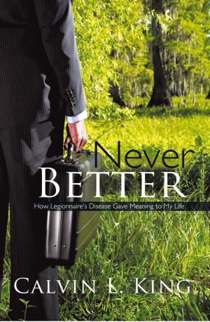 Cover of the book Never Better by Karen Stanhope, Dan Stanhope