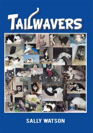 Cover of the book Tailwavers by Matt Carcieri