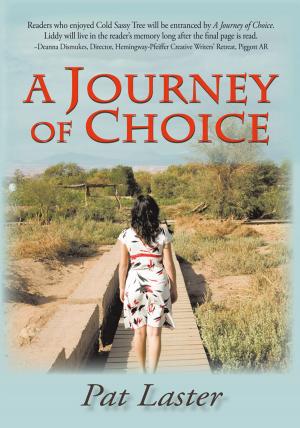 Cover of the book A Journey of Choice by Tammy Farrell
