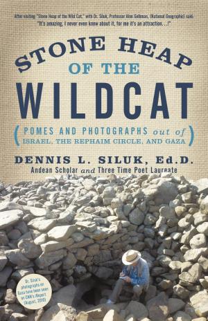Cover of the book Stone Heap of the Wildcat by B.A. Seloaf