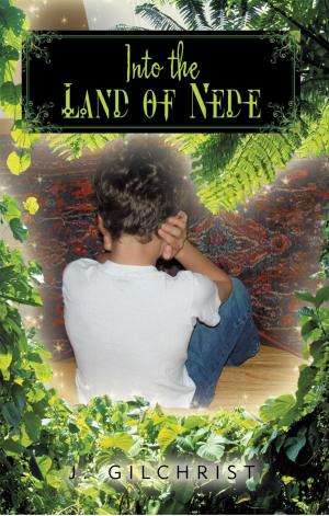 Cover of the book Into the Land of Nede by Tom Slattery