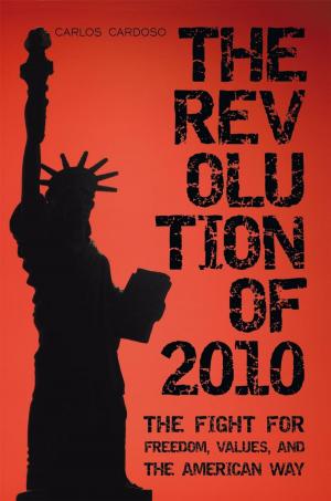 Cover of the book The Revolution of 2010 by Peggy Heinrich