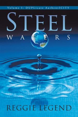 Cover of the book Steel Waters by R.J. Maxwell
