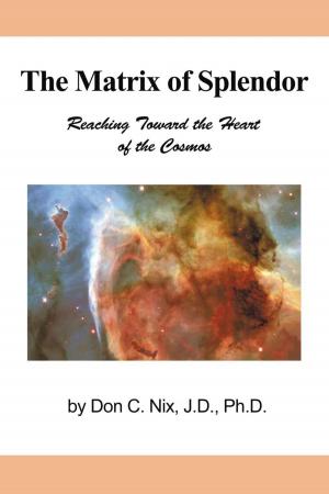 Book cover of The Matrix of Splendor