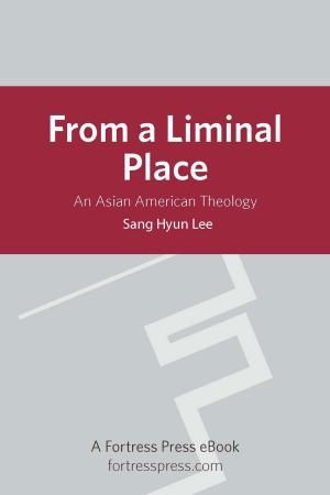Cover of the book From a Liminal Place by Dietrich Bonhoeffer