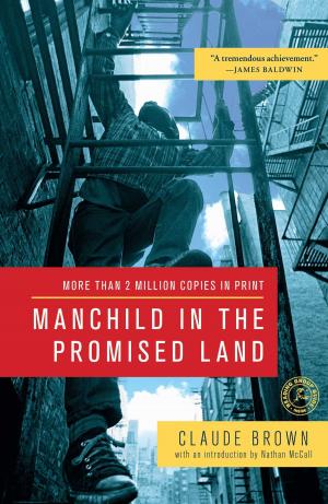 Cover of the book Manchild in the Promised Land by Michael Pullara