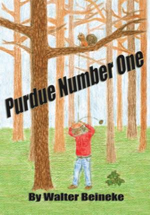 Cover of the book Purdue Number One by Richard Kavanaugh