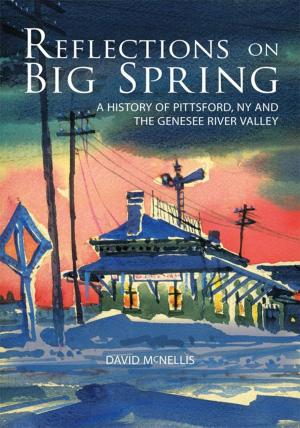 Cover of the book Reflections on Big Spring by Calvin W. Allison