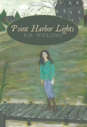 Cover of the book Point Harbor Lights by Barbara Wolf, Margaret Anderson