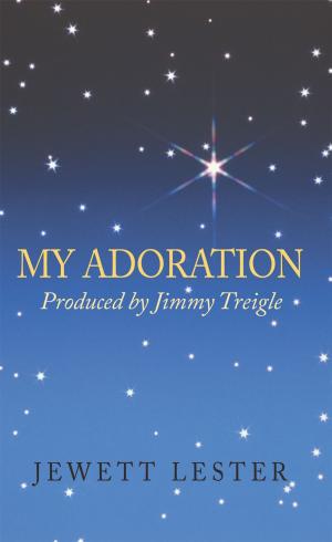 Cover of the book My Adoration by David Chantala