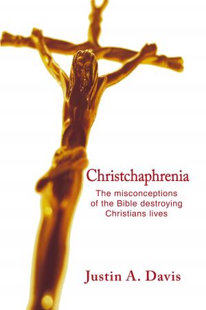 Cover of the book Christchaphrenia by Mz.Yvette D