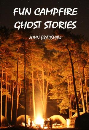 Book cover of Fun Campfire Ghost Stories