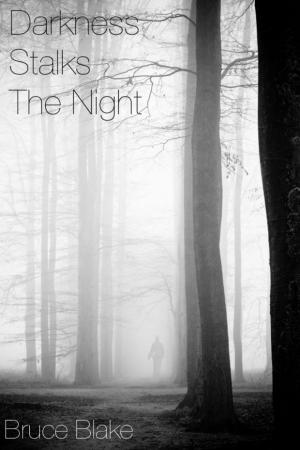 Book cover of Darkness Stalks the Night