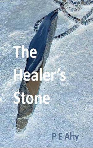 Book cover of The Healer's Stone