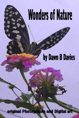 Cover of the book Wonders of Nature by Dawn B Davies