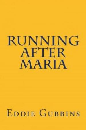 bigCover of the book Running After Maria by 