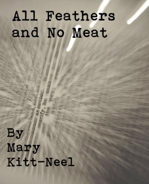 Cover of the book All Feathers and No Meat by Mike Shatzkin, Mariana Martins de Castilho Fonseca