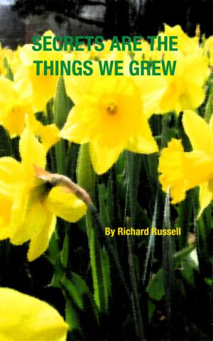 Cover of the book Secrets Are the Things We Grew by Glen C. Allison