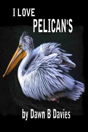 Cover of the book I Love Pelicans by Dawn B Davies