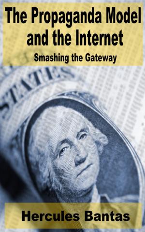 Book cover of The Propaganda Model and the Internet: Smashing the Gateway