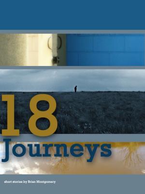 Cover of the book 18 Journeys by Tony Vinyoh