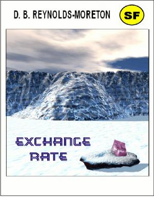 Cover of the book Exchange Rate by David.  B. Reynolds-Moreton
