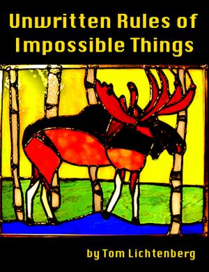 Cover of the book Unwritten Rules of Impossible Things by Tom Lichtenberg, John Lichtenberg