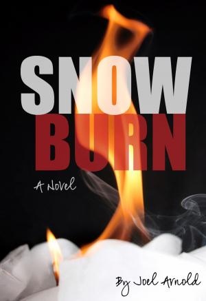 bigCover of the book Snow Burn by 