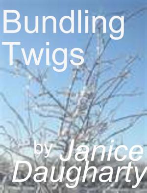 Cover of the book Bundling Twigs by Nicole A. Lee