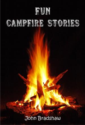 Cover of the book Fun Campfire Stories by Pepijn Lanen