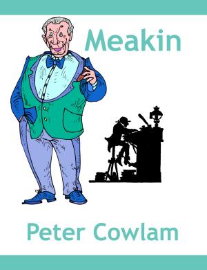 Cover of the book Meakin by Shayna Krishnasamy