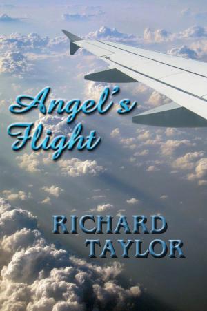 Book cover of Angel's Flight