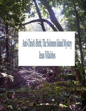Book cover of Anti-Christ's Birth; The Solomon Island Mystery