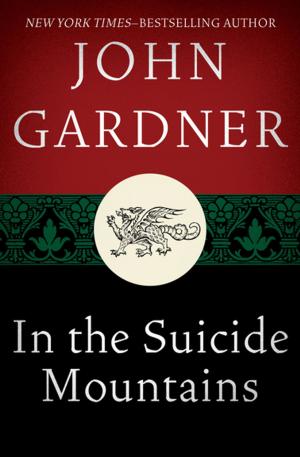 Cover of the book In the Suicide Mountains by Patricia Gaffney