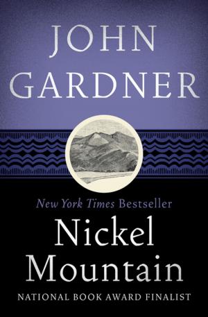 Cover of the book Nickel Mountain by Barbara Hall