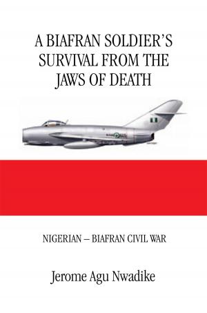 Cover of the book A Biafran Soldier’S Survival from the Jaws of Death by Michele Burden