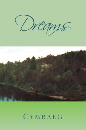 Cover of the book Dreams by Wayne W. Hogstad