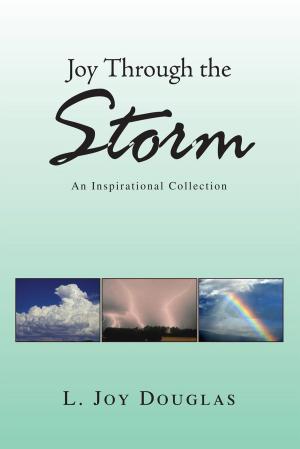 Cover of the book Joy Through the Storm by Jason Wisdo