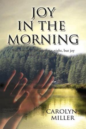 Book cover of Joy in the Morning