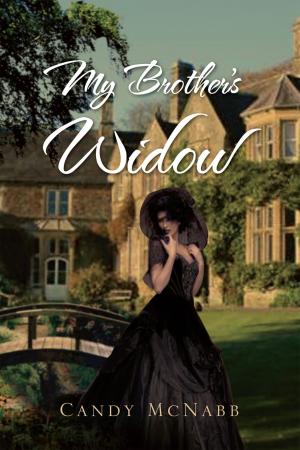 Cover of the book My Brother's Widow by Gary T. Brideau