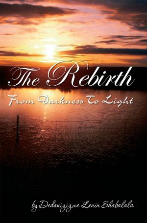 Cover of the book The Rebirth by Amadou B.H. Sey