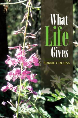 Cover of the book What Life Gives by Doug Brooks