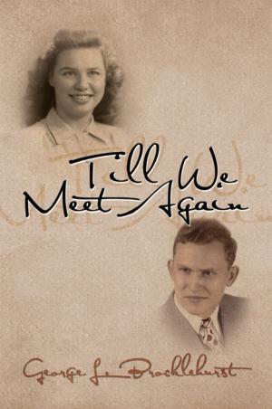 Cover of the book Till We Meet Again by Clinton Matthews