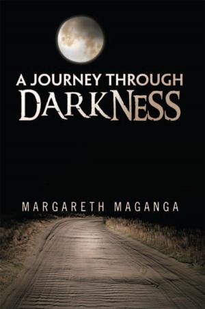 Cover of the book A Journey Through Darkness by David Jones