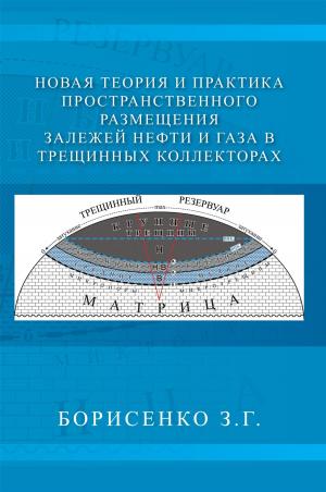 Cover of the book New Theory and Practice of the Dimensional Oil and Gas Deposits in Fracture Reservoirs by Danie Baly