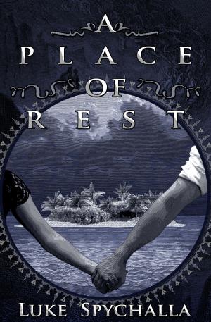 bigCover of the book A Place of Rest by 