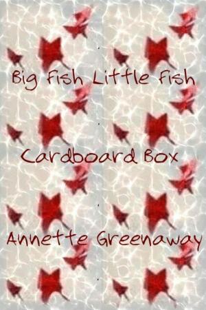 Cover of the book Big Fish Little Fish Cardboard Box by Lacy Lalonde